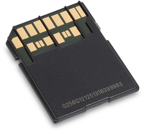 AData Premier One UHS-II V90 256GB SDXC Memory Card Back