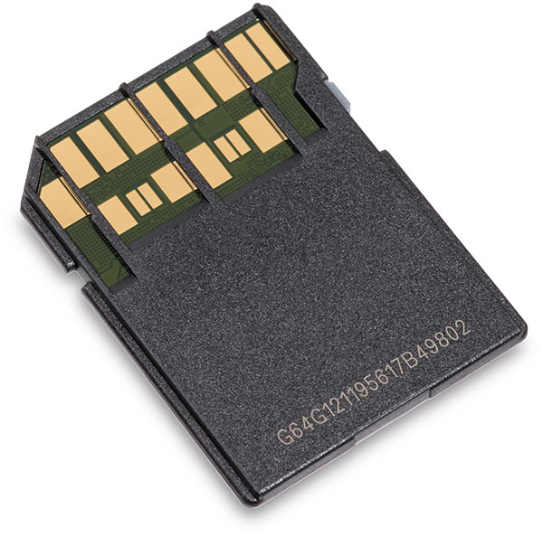 AData Premier One UHS-II V90 64GB SDXC Memory Card Back