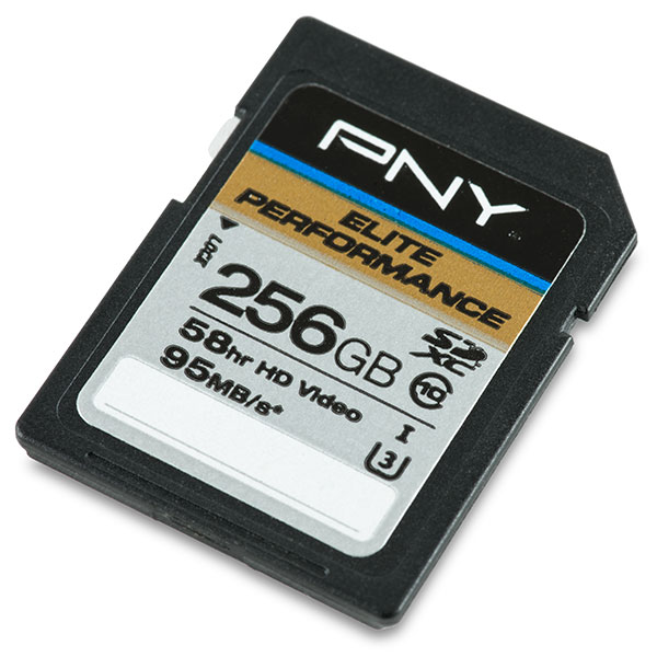 PNY Elite Performance U3 256GB SDXC Card